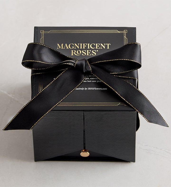 Magnificent Roses® Single Rose Reveal