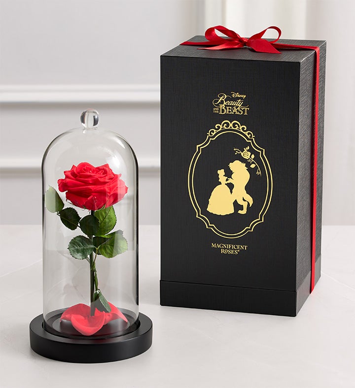 Magnificent Roses® Beauty & the Beast Cloche