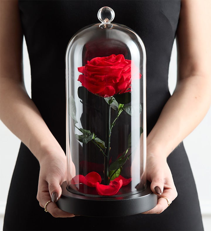 Magnificent Roses® Beauty & the Beast Cloche