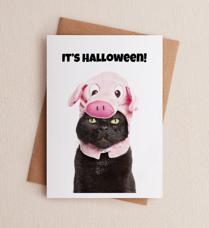 Cat Halloween Greeting Card