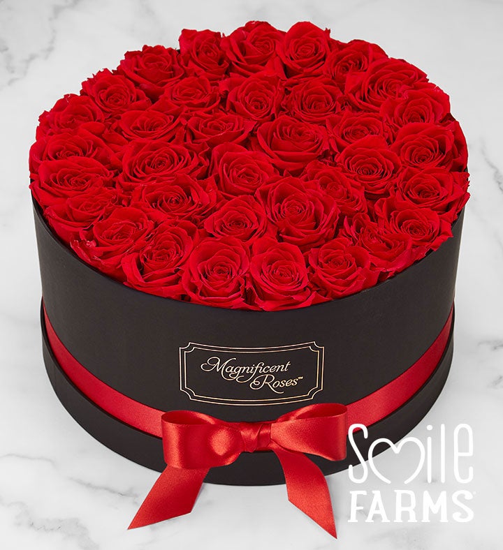 Magnificent Roses® Preserved Red Roses