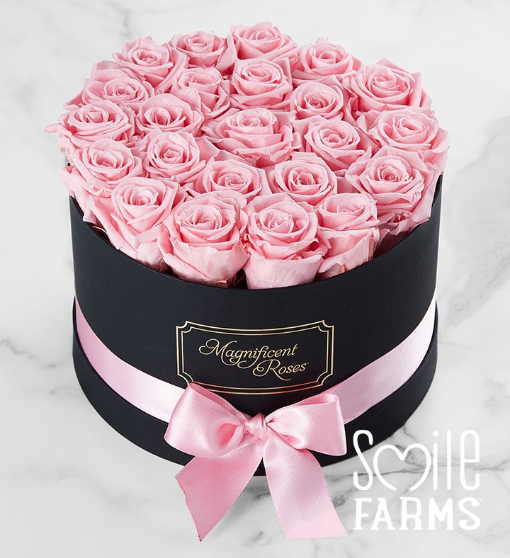 Magnificent Roses® Preserved Pink Roses