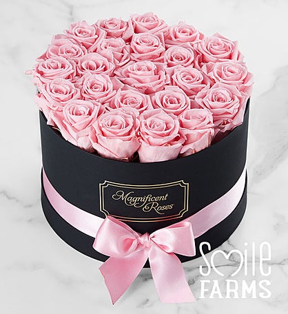 Magnificent Roses® Preserved Pink Roses