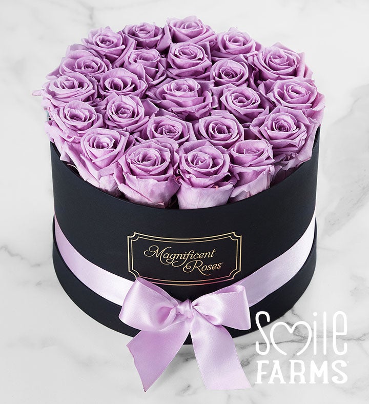 Magnificent Roses® Preserved  Lavender Roses