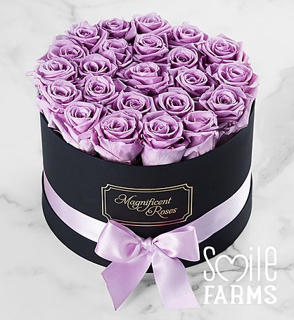 Magnificent Roses® Preserved  Lavender Roses