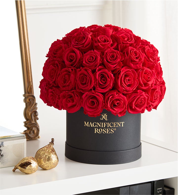 Magnificent Roses® Preserved Domani Red Roses