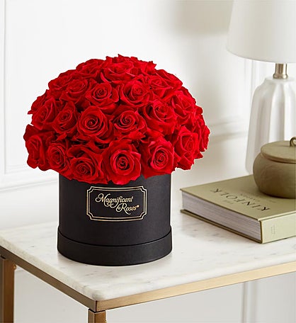 Magnificent Roses® Preserved Domani Red Roses