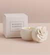 Fragrant Gardenia™