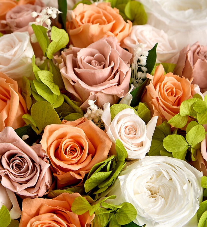 Magnificent Roses ® Preserved Serenity Garden