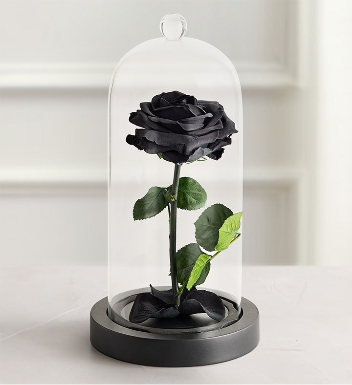 Enchanted Beauty™ by Magnificent Roses® Black