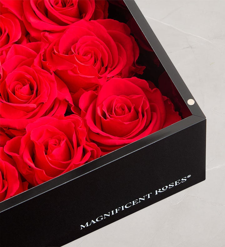 Magnificent Roses® Personalized Message | 1800Flowers