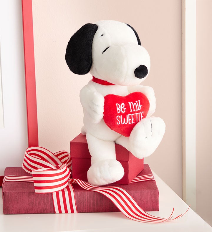 Snoopy Be My Sweetie Plush