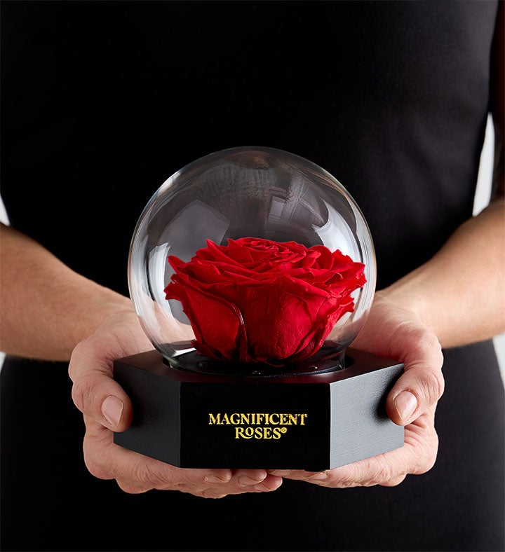 Magnificent Roses® Preserved Illuminating Rose