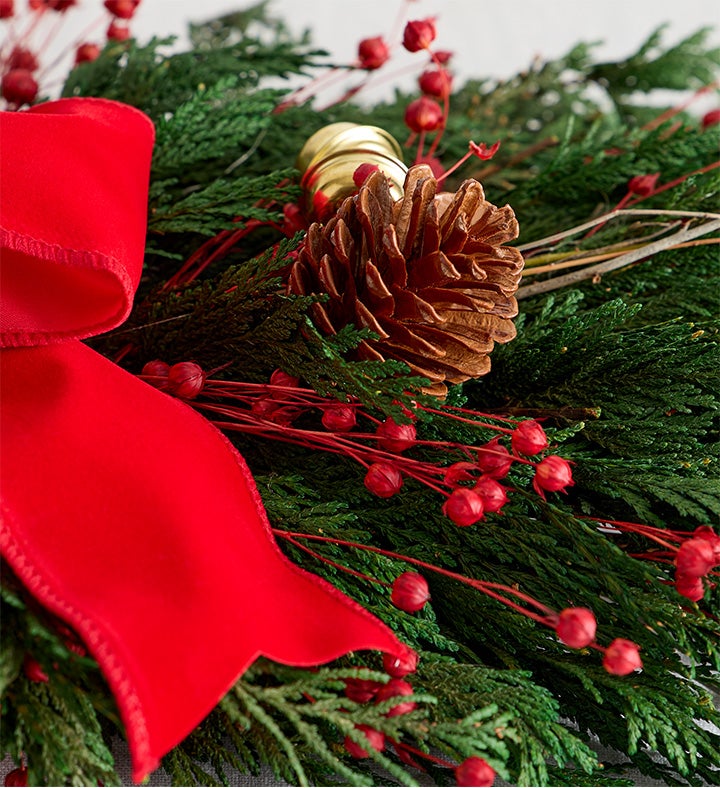 Velvet Evergreen Preserved Cedar Centerpiece