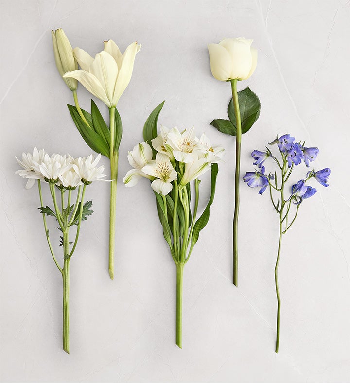 Festival of Lights™ Bouquet