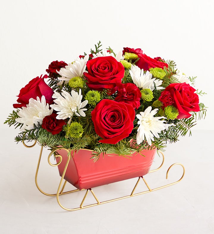 Dashing Through the Snow Sleigh™