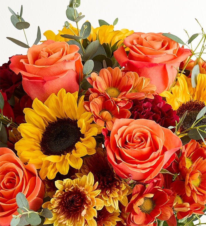 Honey Bee Buzz™ for Fall