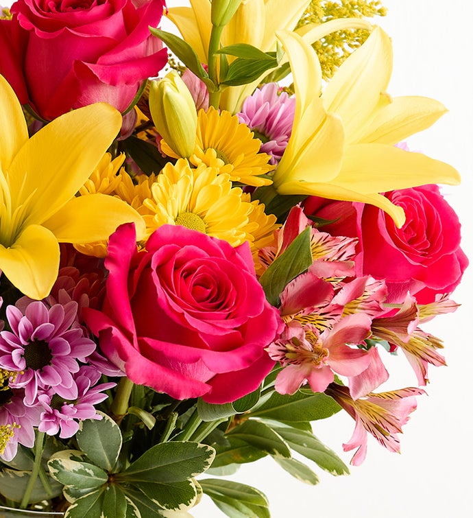 Fields of Europe® Spring