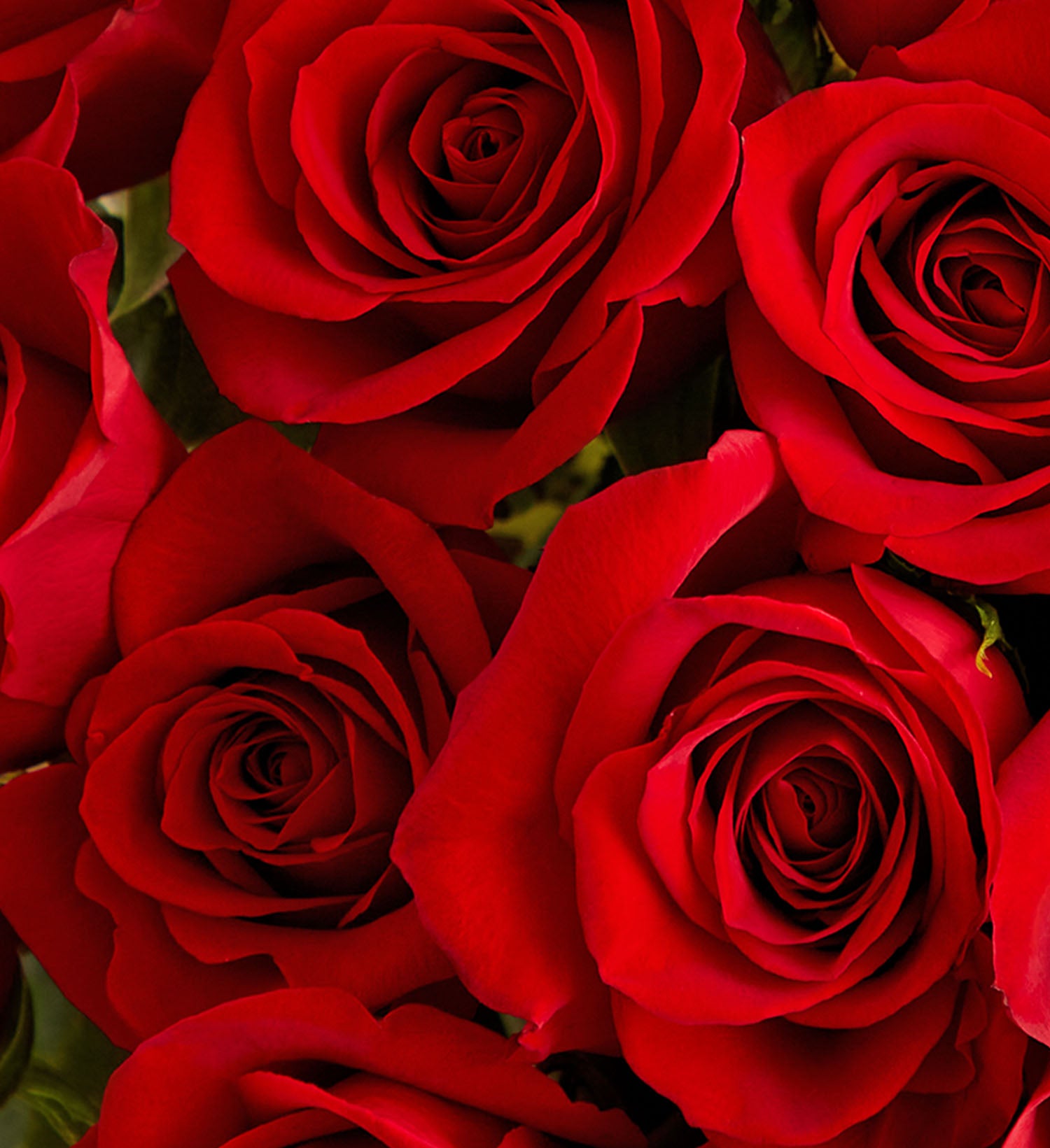 DIY Red Rose Flower Box