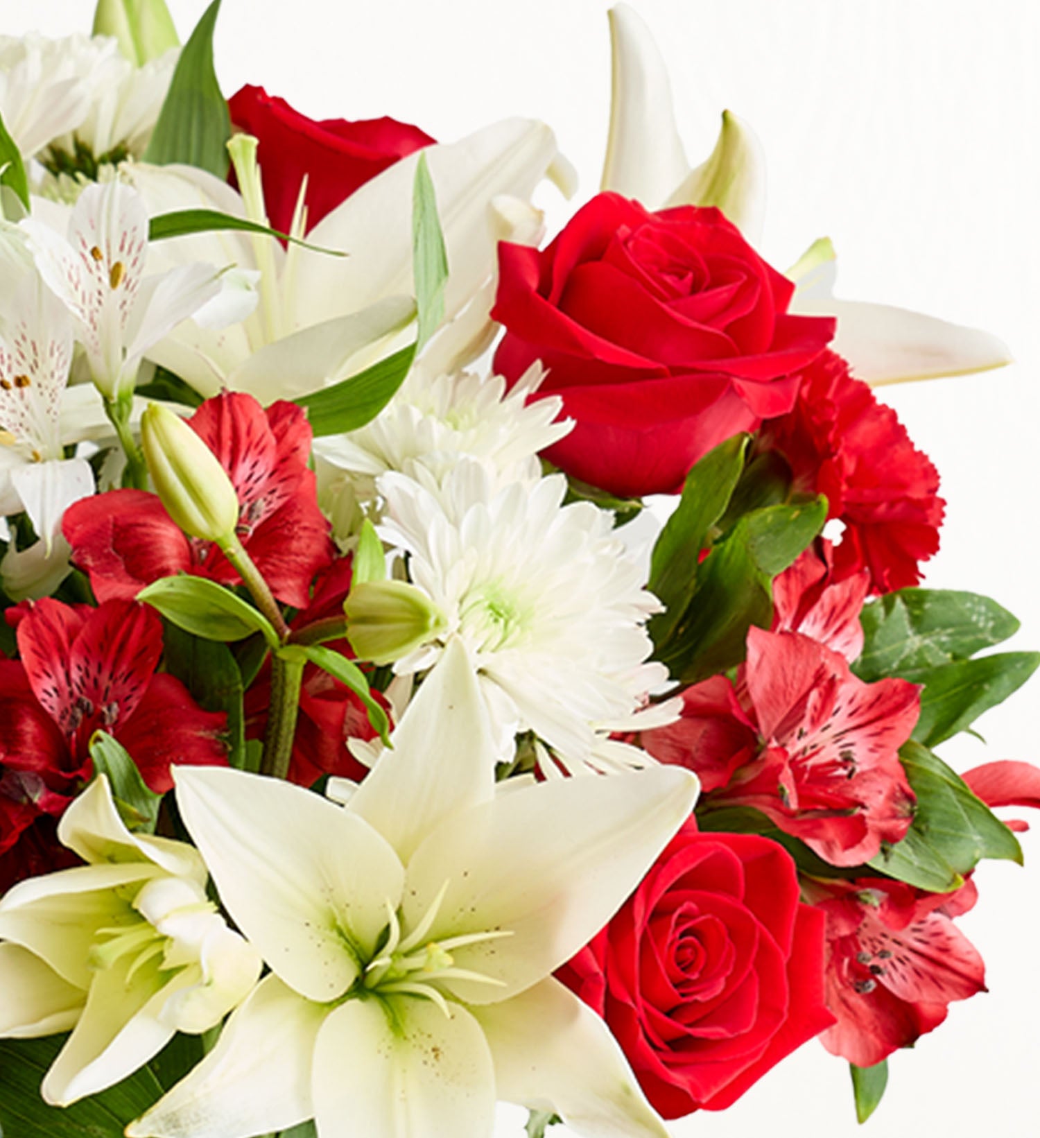 Fields of Europe® Peppermint Christmas