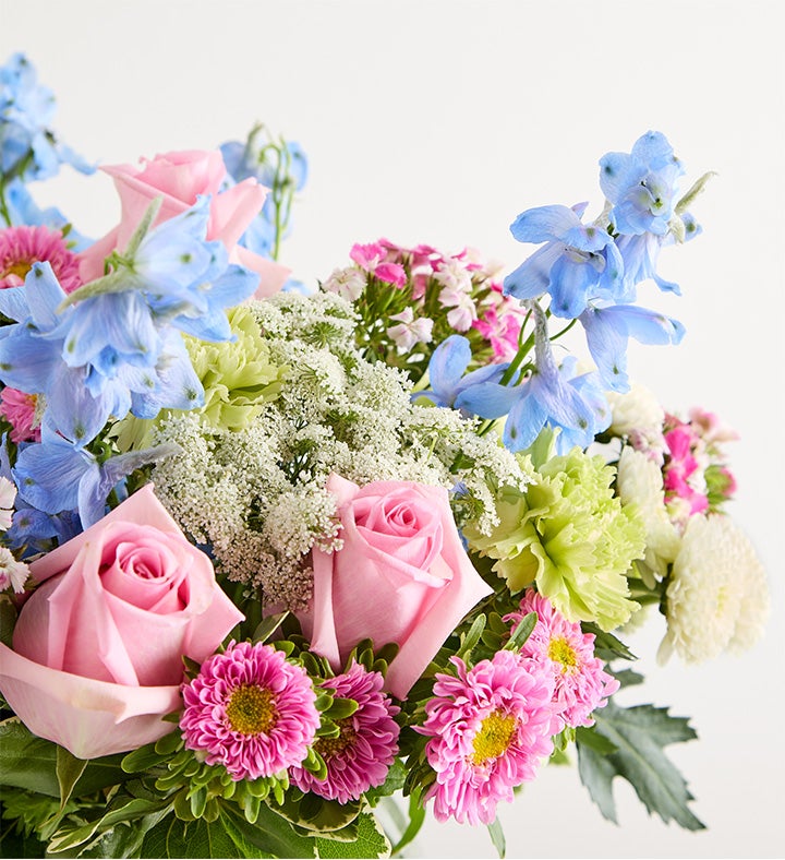 Delphinium Garden™ – Small — 1-800-Flowers.com (from $69.99