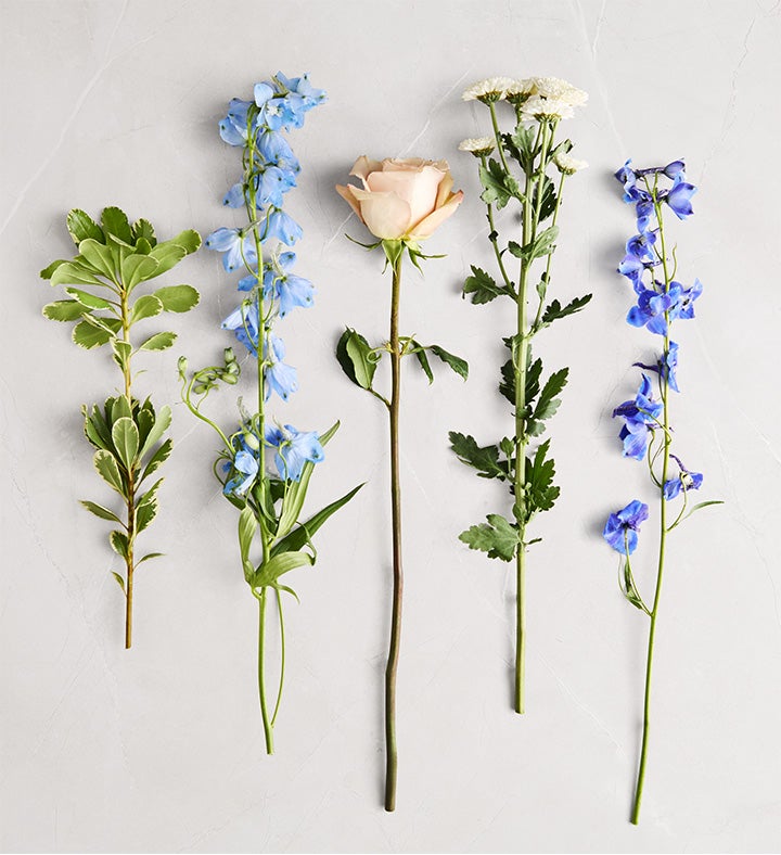 【NEW】【 BEE】【サイン入】クラブ・アメリカ(2018/19) Honey Bee Buzz™ Delphinium Bouquet | 1800Flowers