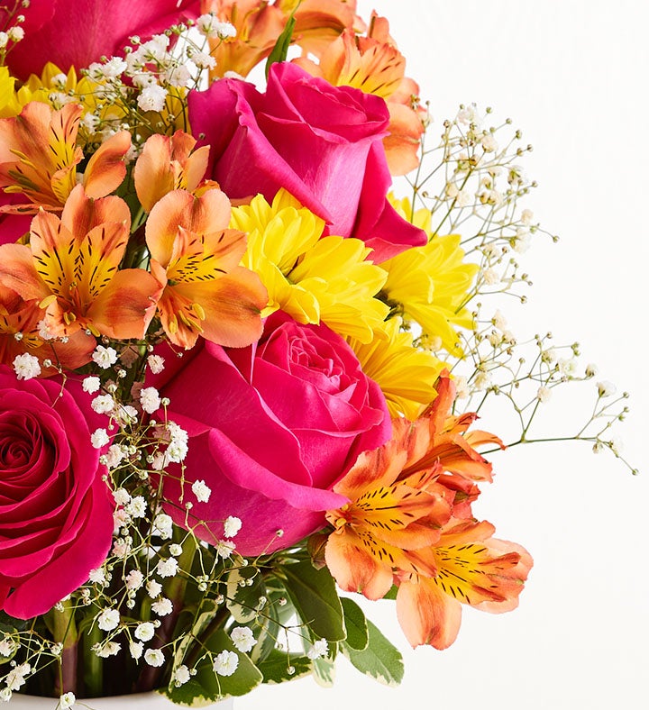 Vibrant Meadow™ | 1800Flowers