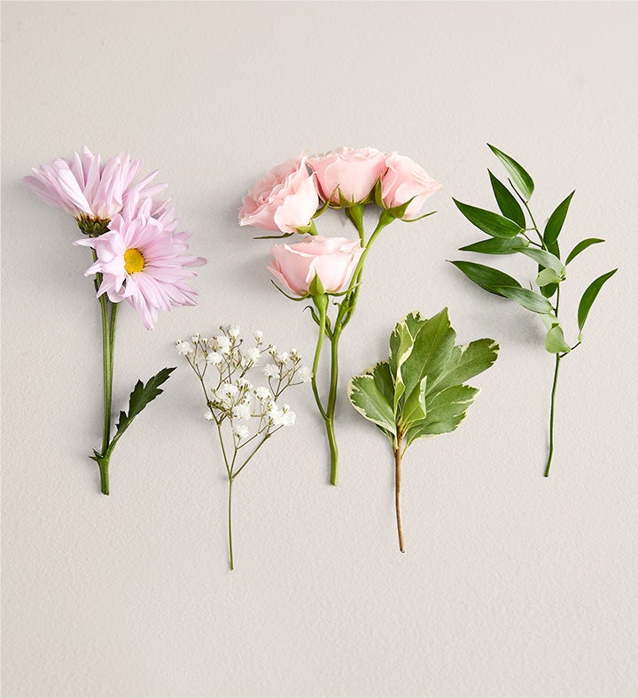 Lavendar Daisy & Pink Spray Rose Corsage