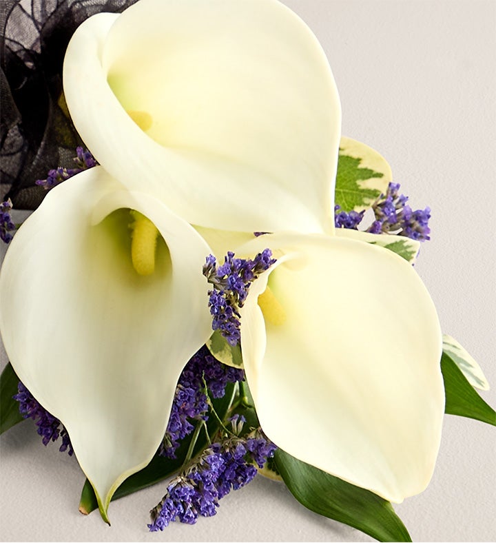 White Mini Calla Lily Corsage