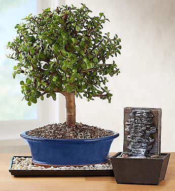 1800 Flowers Christmas Bonsai : Art Planter Tree Bonsai Home Plant Artificial Fake Flower Pot 1800 Flowers Christmas Bonsai : Art Planter Tree Bonsai Home Plant Artificial Fake Flower Pot