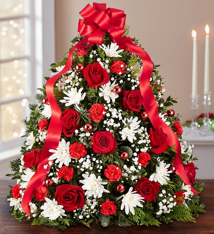 Christmas Flowers Images 2023 Latest Perfect Popular Famous | Latest ...