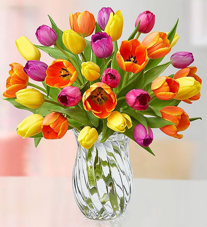 Assorted Tulips + Free Vase