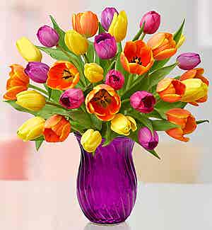 Sympathy Flowers - Baltimore Florist, Same Day Flower Delivery