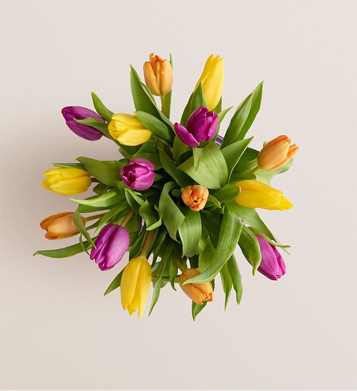 Assorted Tulip Bouquet