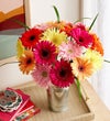 Happy Gerbera Daisies