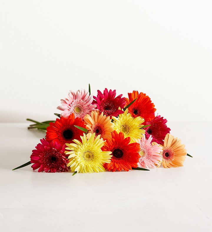 Stems, Bouquet Only