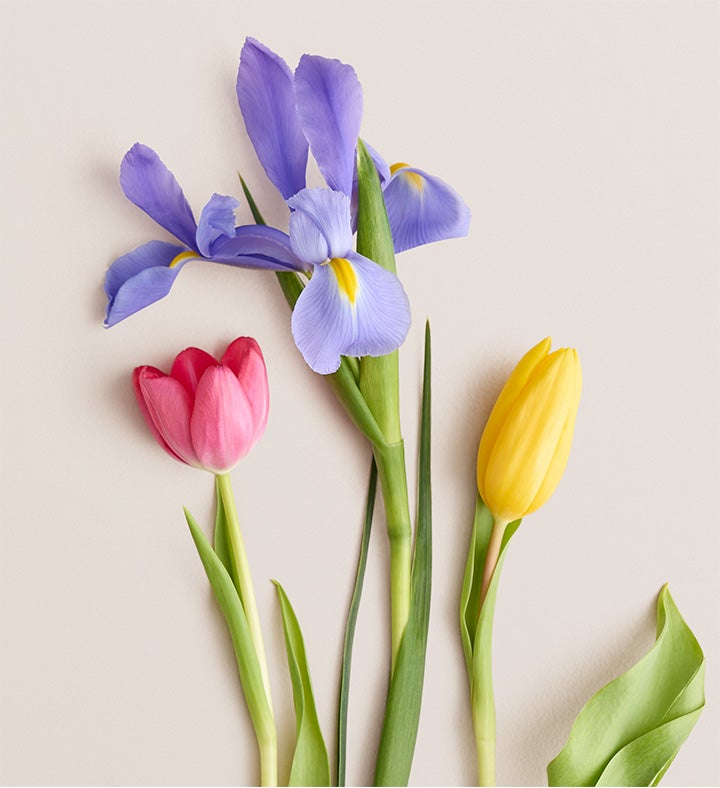 Fanciful Spring Tulip & Iris Bouquet