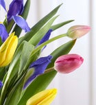 Mother's Day Butterfly Kisses