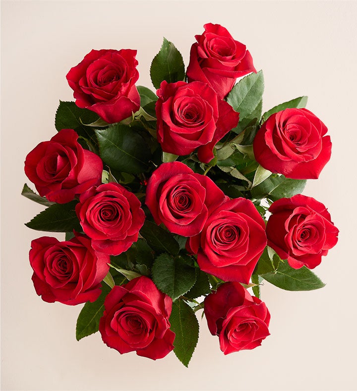 One Dozen Red Roses