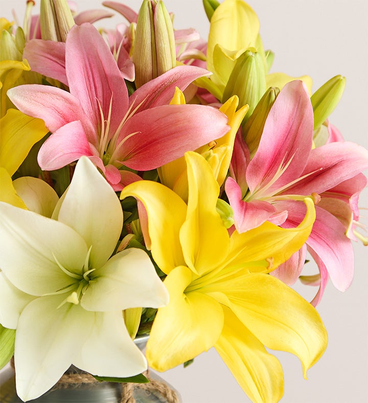 Sweet Spring Lily Bouquet + Free Vase