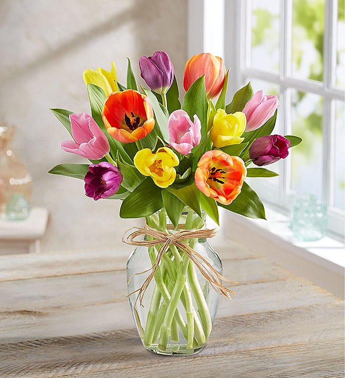 Timeless Tulips®