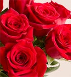 Red Roses