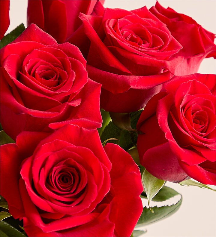 Mother's Day Red Roses