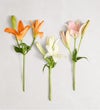 Vibrant Summer Lily Bouquet