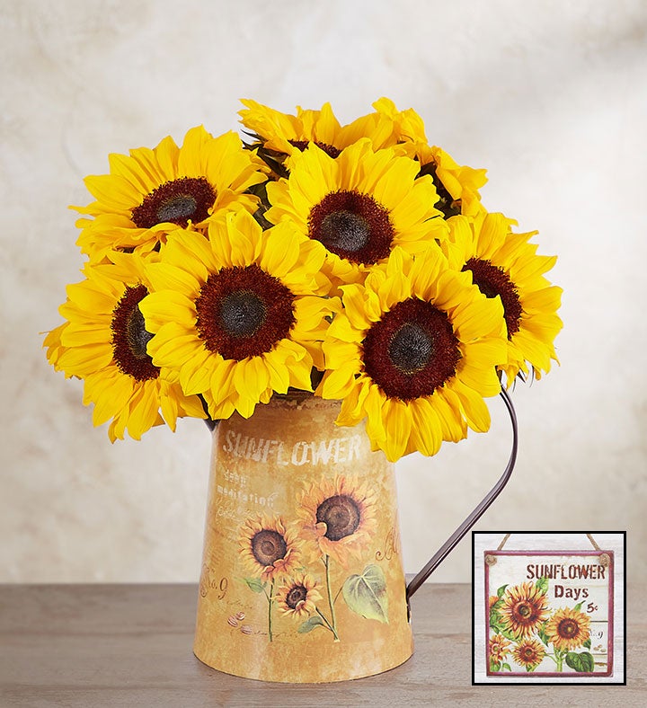 10 Stems Sunflowers: Save 25%