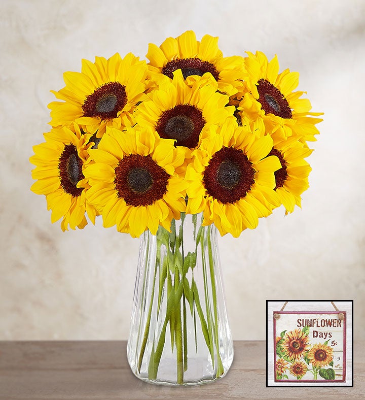 10 Stems Sunflowers: Save 30%