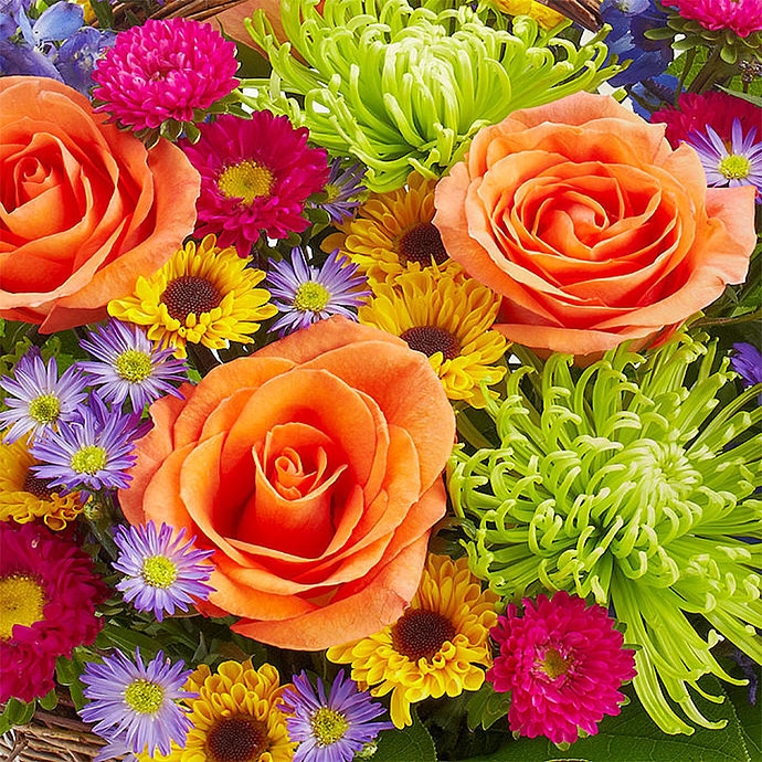 Bloom of the Month® Club - 3 Months ($ per delivery)