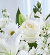 Sincerest Sorrow™ All White