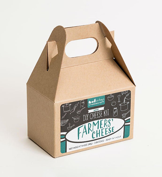 Mini Farmers Cheese Kit