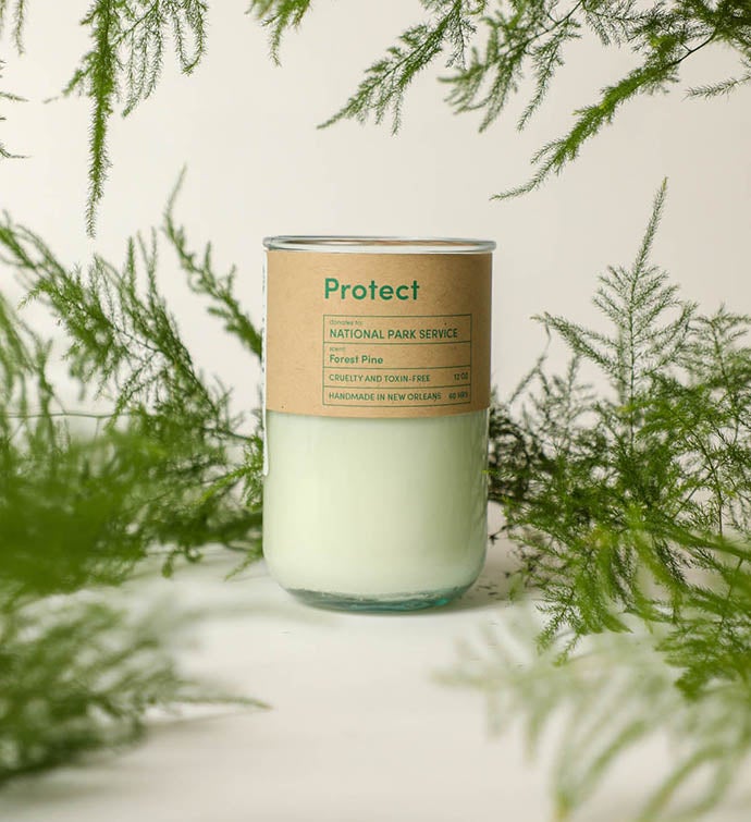 Protect   Forest Pine Scent Candle, Gives To National Parks